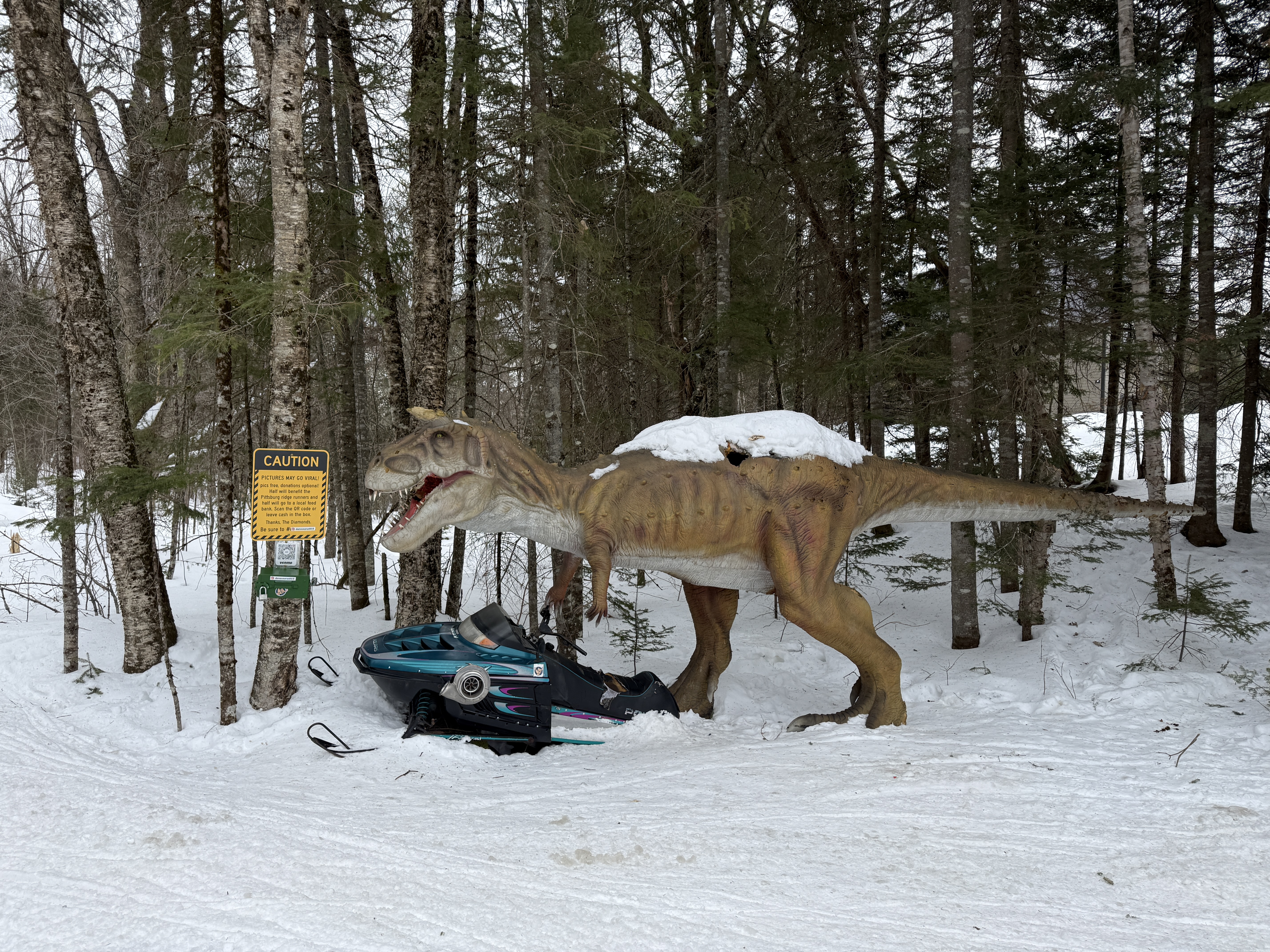 Snowmobiling — Day Two